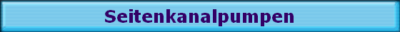 Seitenkanalpumpen